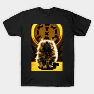 Admiral Yellow Cat T-Shirt